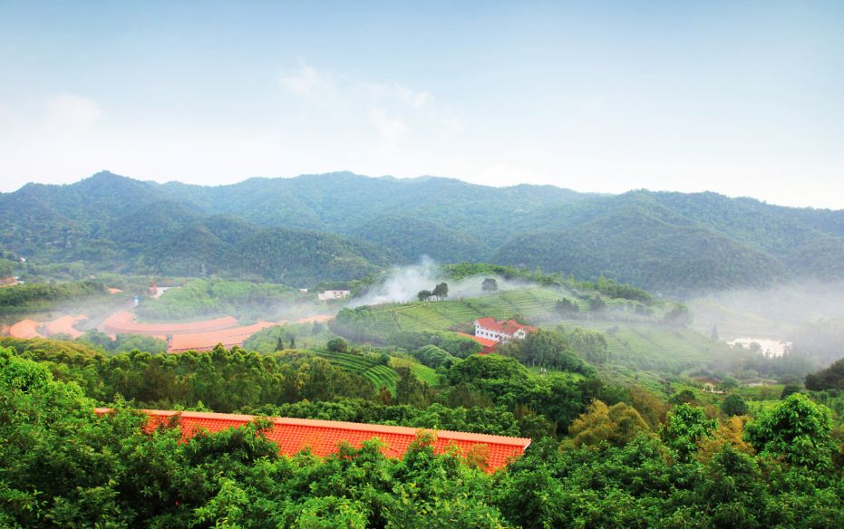 梅州市雁南飞茶田景区最新天气预告